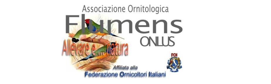 5ª MOSTRA ORNITOLOGICA 2017 COMITATO ORGANIZZATORE Presidente Comitato Organizzatore: Stefano Borruso Direttore Mostra: Vittorio Cardellini Segreteria: Alfonso Molaro, Fausta Corteggiani, Stefano