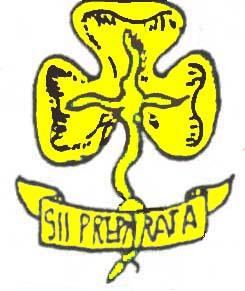 aliani (A.R.P.I.), la prima associazione scout italiana non riconosciuta a livello internazionale. Inizialmente aveva un settore femminile unitosi in seguito all UNGEI.