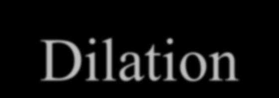 Dilation The 3 3 square is probably the most common structuring element used in dilation