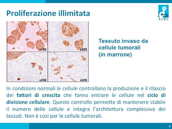 In condizioni normali le cellule controllano la produzione e il rilascio dei fa>ori di crescita che fanno entrare le cellule nel ciclo di divisione