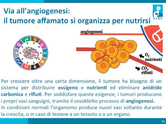 Quando il tumore cresce oltre una certa dimensione, ha bisogno di un sistema per distribuire ossigeno e nutrien8 ed eliminare anidride carbonica e rifiu8, perché possa con8nuare la sua crescita.