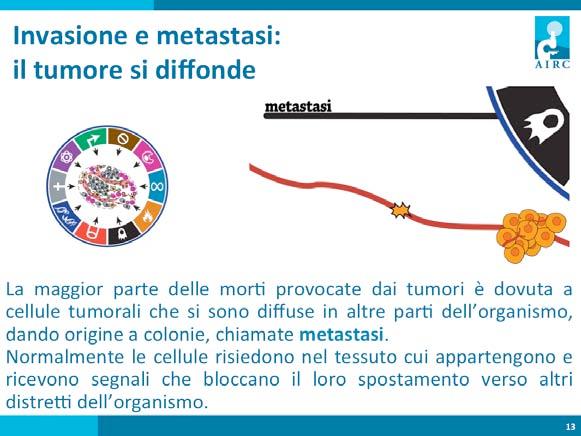 Il tumore sfruca i nuovi vasi anche per invadere altri tessu8, una caraceris8ca che lo può rendere letale.