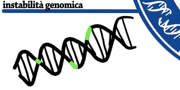Le condizioni di base per i tumori: mutazioni e instabilità del genoma Il genoma di una cellula può diventare instabile.