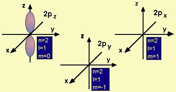 145 La simmetria è assiale; ogni orbitale p ha un piano nodale (in cui la funzione y si annulla, dato che cambia di segno e perciò anche y assume il valore zero) perpendicolare al suo