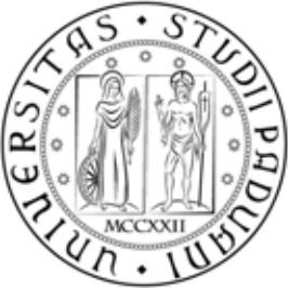 UNIVERSITÀ DEGLI STUDI DI PADOVA DIPARTIMENTO DI SCIENZE POLITICHE, GIURIDICHE E STUDI INTERNAZIONALI Corso di laurea Triennale in Diritto dell Economia L A C O LLAB ORAZIONE T R A