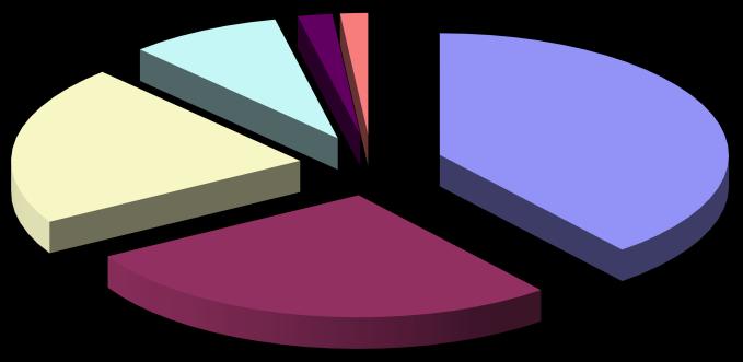 Qual è la funzione principale di un partito?