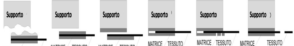 Linea Guida FRCM Prova di