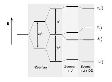 Spin Magneticamente Equivalenti Singlet-triplet basis Multipletti e larghezza di riga La larghezza di riga di un segnale NMR dipende dalle proprietà di rilassamento T 2.