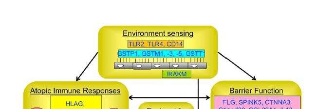 Genetics of