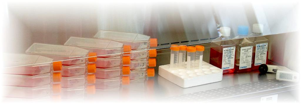 Dipartimento di Bioscienze, Biotecnologiche e Biofarmaceutica Corso di Laurea triennale in: Biotecnologie Mediche e Farmaceutiche Laboratorio di Fisiologia