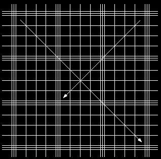 ingrandimento (16-20X), mettere a fuoco le linee incise sul vetrino Ø Identificare i quadranti limitati su tutti i