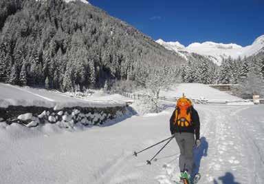 Arrivo giornaliero minimo 2 notti 08/12/17 23/12/17 07/01/18 10/02/18 79,00 85,00 17/02/18 07/04/18 Arrivo giornaliero minimo 3 notti 23/12/17 29/12/17 10/02/18 17/02/18 139,00 149,00 Arrivo venerdì