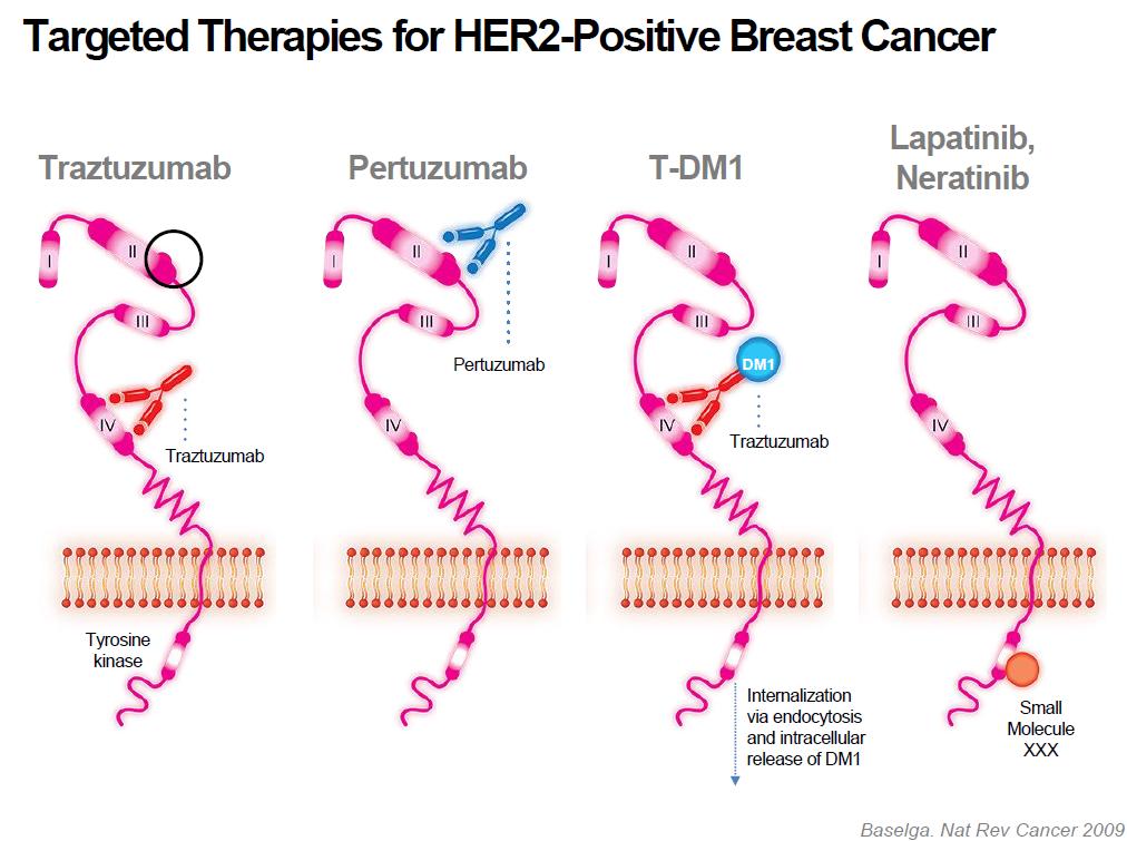 Targeted Therapies for