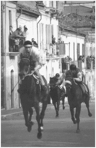 La corsa di cavalli in Via Madonna dello Splendore, in prossimità dell'arrivo A nome personale e di tutto il comitato mi sia consentito