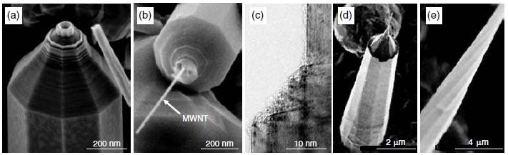 Struttura GPC Immagini SEM Diametro : 100-1000 nm