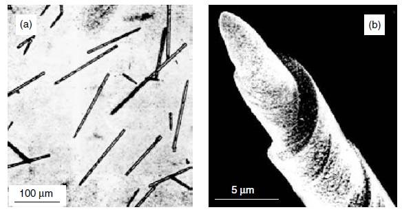 WHISKERS Origine sintetica o naturale Lunghezza > diametro Whiskers, nanoconi, CGP nuova