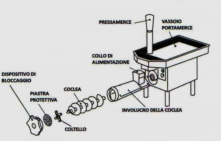 SCHEDA MACCHINE TRITACARNE DESCRIZIONE E costituita da una base, un involucro della coclea, una coclea, un piatto o una tramoggia di alimentazione, un convogliatore a vite (oppure un miscelatore a