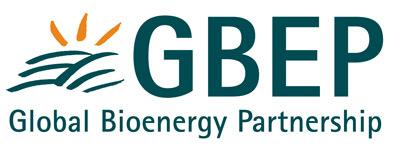 La Partnership Globale per le Bioenergie (GBEP) Lavorare insieme per lo sviluppo