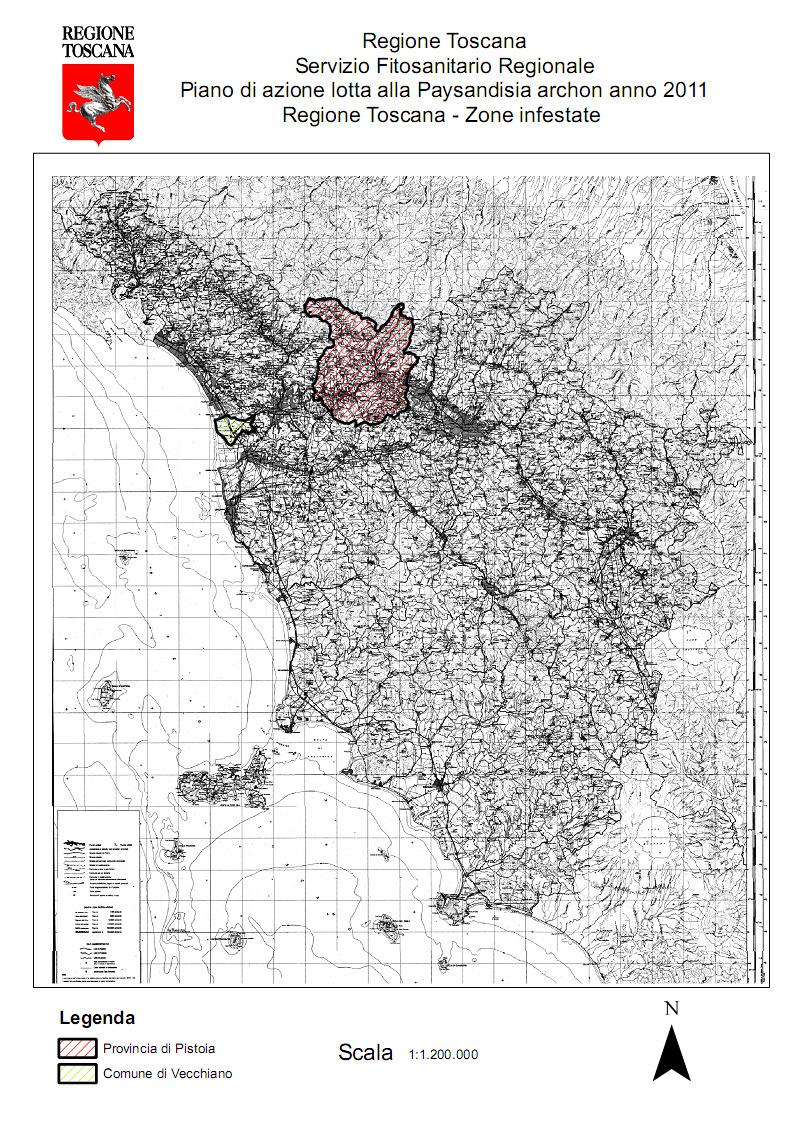 Fig. 3 Mappa della distribuzione localizzata dell infestazione di Paysandisia archon (agosto 2011) Il Piano di Azione attualmente in vigore prevede nelle aree toscane non indenni (intera provincia di