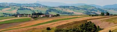 Riscopriamo le varietà antiche locali portando la biodiversità nei nostri punti vendita per custodire e preservare insieme a voi l importante patrimonio genetico, storico, di gusti e sapori delle