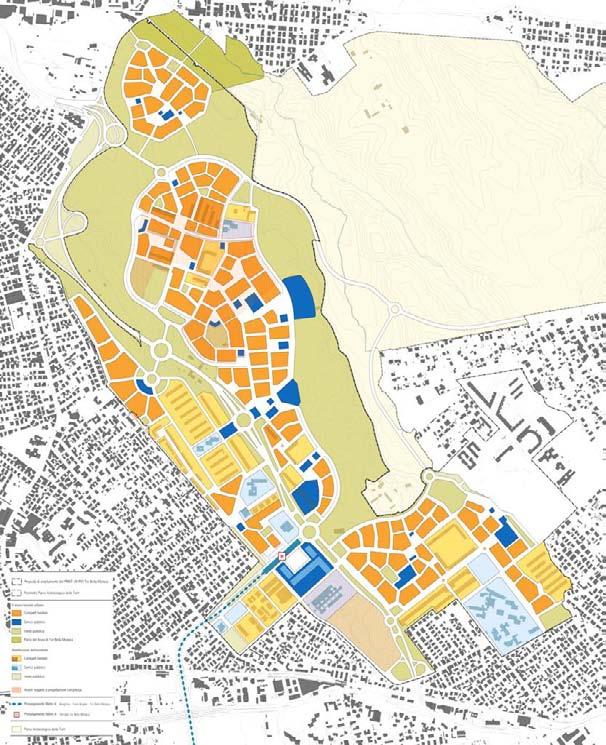 Il Concept Plan: un nuovo disegno urbano II fase Parco del Fosso di Tor Bella Monaca Aree a progettazione complessa