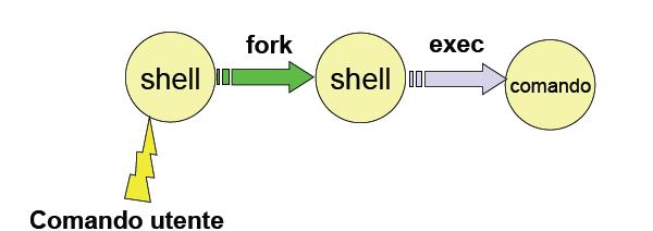 Esempio 1 Per ogni comando, la shell genera un processo figlio, una nuova shell, dedicato all esecuzione del comando: Possibilità di due diversi comportamenti Il padre si pone in attesa della