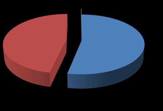 Figura 16: Distribuzione stock gruppo B per categoria catastale e per tipologia di intestatari B/1 B/2 3,3% 6,6%