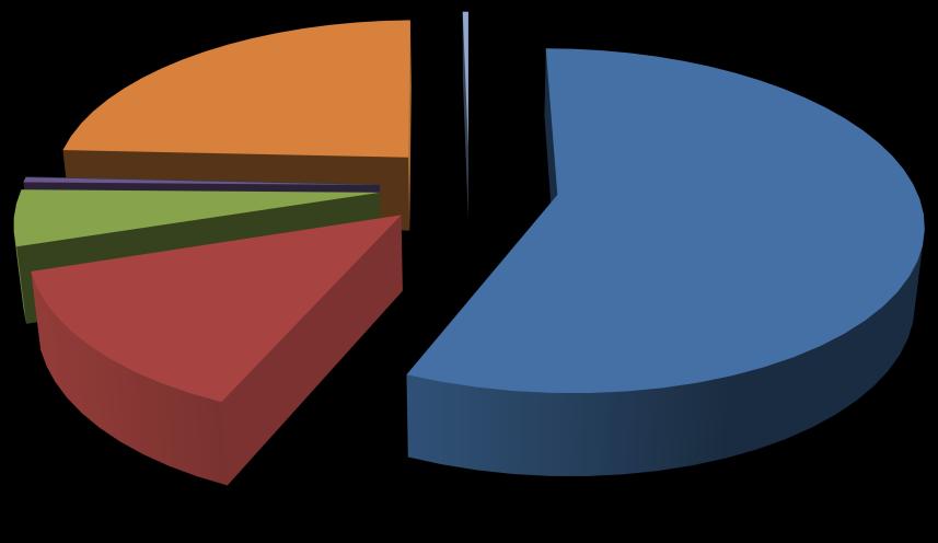 Ammonta a circa 6,1 miliardi di euro la rendita catastale delle unità del gruppo C (Tabella 13), di cui 3,4 miliardi di euro (il 56,4% - Figura 24) è stata attribuita agli immobili destinati a