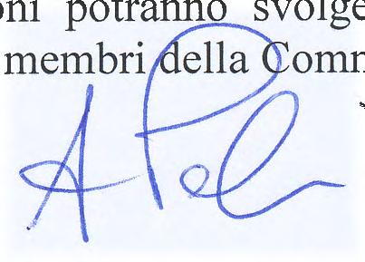 161 del 28/0112013, pubblicato sulla Gazzetta Ufficiale della Repubblica Italiana- 4" Serie speciale- n. 9 del 01/02/2013. VERBALEN.