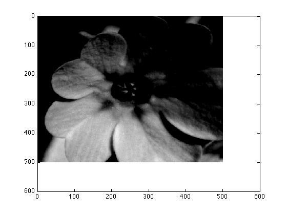 Immagini di Intensità È possibile visualizzare un certo intervallo di valori dell immagine in modo ohmizzato rispero ad una data mappa di colori Ad esempio se volessimo fare in modo che il valore