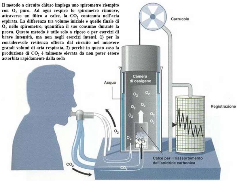 consumo di ossigeno e calcolo delle kcal/die tenendo