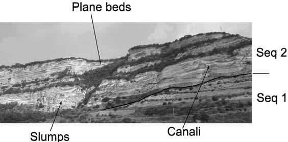 Figura 16 - Panorama della parete di Chighizzu (top della Sequenza 2) Stop 3.1 Panorama sulla parete di Chighizzu (Fig. 16).
