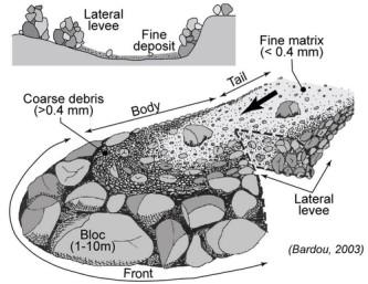 Condizioni per l innesco dei debris flow: presenza di detrito sciolto pendenze medie elevate (>20 ) precipitazioni brevi ma intense L innesco è