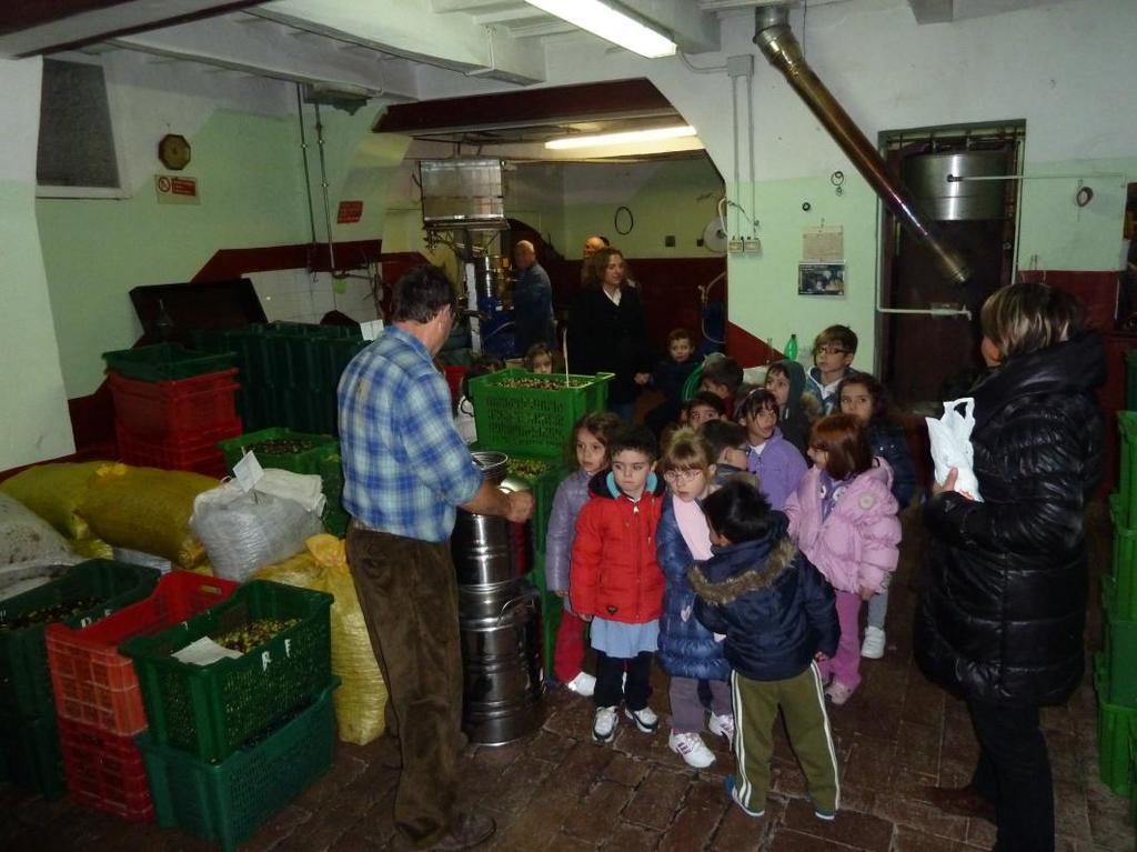 LE OLIVE LA RACCOLTA LA PULITURA L ASSAGGIO LA VISITA AL FRANTOIO L OLIO SQUISITE