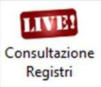 COSA DEVE FARE IL DELEGATO PER PROCEDERE ALLA CONSULTAZIONE?