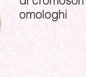 cromosomi