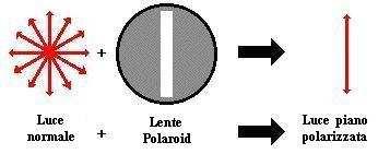 Luce polarizzata La luce ordinaria consiste di molte onde il cui vettore elettrico