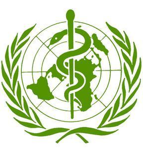 Il riferimento strategico sulla salute è un documento chiamato "Health21: La salute per tutti nel XXI secolo" ed è stato adottato dall'assemblea Mondiale della Sanità nel 1998*.