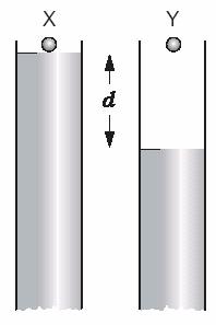 17. Due sfere identiche X ed Y sono lasciate cadere da ferme all imboccatura di due cilindri sufficientemente alti.