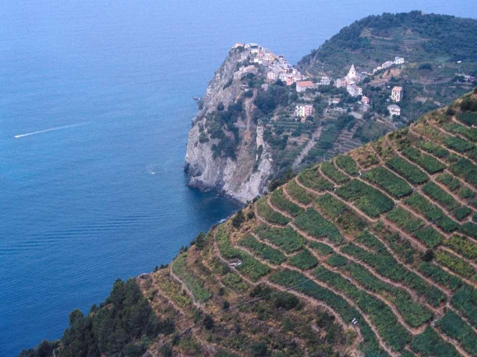 Il valore del paesaggio Paesaggio viticolo