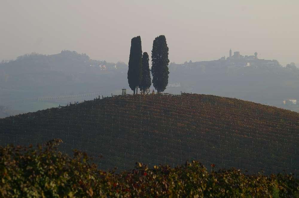 L agricoltura può contribuire alla conservazione, alla tutela e alla valorizzazione dei paesaggi e dell ambiente,