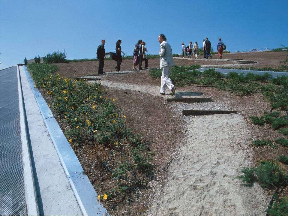 ( ) cambierò il deserto in un lago d acqua e la terra arida in