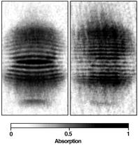 Coerenza di fase Interference (MIT