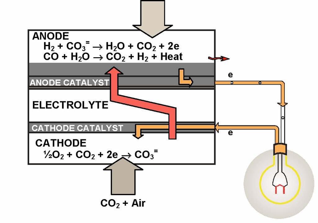 Introduzione - Molten Carbonate Fuel Cell 1.3 Molten Carbonate Fuel Cell 1.3.1 Funzionamento La cella a combustibile a carbonati fusi presenta una temperatura operativa di circa 650 C.