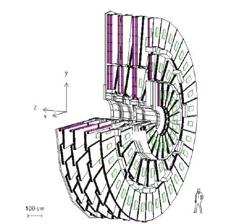 540 camere totali sono suddivise in 4 stazioni in ogni Endcap, dette ME1, ME2, ME3 e ME4, sono perpendicolari al fascio ed intervallate da strati di ferro per il flusso di ritorno.