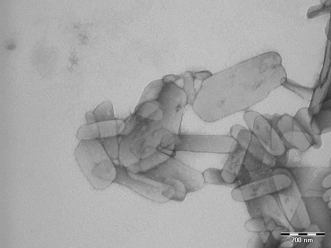 Tecniche di analisi Le strutture polimorfe vengono studiate ricorrendo a varie tecniche: Diffrazione ai raggi x Microscopia ottica ed elettronica Spettroscopia