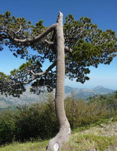 Pietro Serroni, Un parco, tanti paesaggi 17.15 COFFEE BREAK 17.30 Prof. Felice Larocca, Archeologia delle grotte sul Massiccio del Pollino 18.15 19.