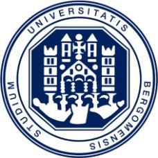 UNIVERSITÀ DEGLI STUDI DI BERGAMO Scuola di Ingegneria Corso di prof.