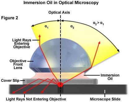 Microscopio ottico - OBIETTIVO Ingrandi -mento Apertura Numerica http://slideplayer.