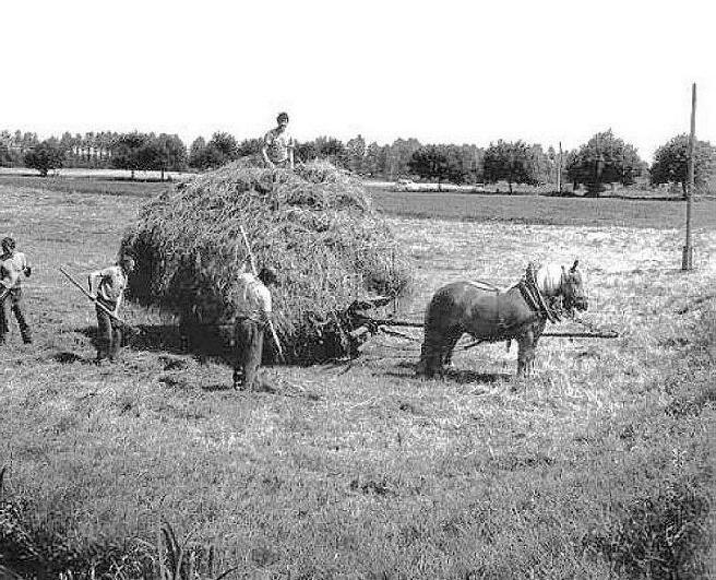 Quale agricoltura di montagna